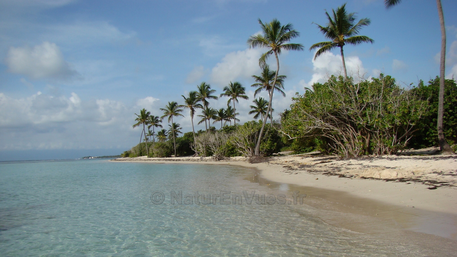 Guadeloupe, plage de bois-jolan (Ste Anne)