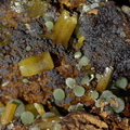 Mimétite et campylite (arséniates de plomb) - mine Ojuela, Mexique.JPG