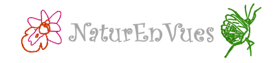 Naturenvues.fr